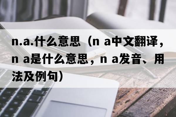 n.a.什么意思（n a中文翻譯，n a是什么意思，n a發(fā)音、用法及例句）