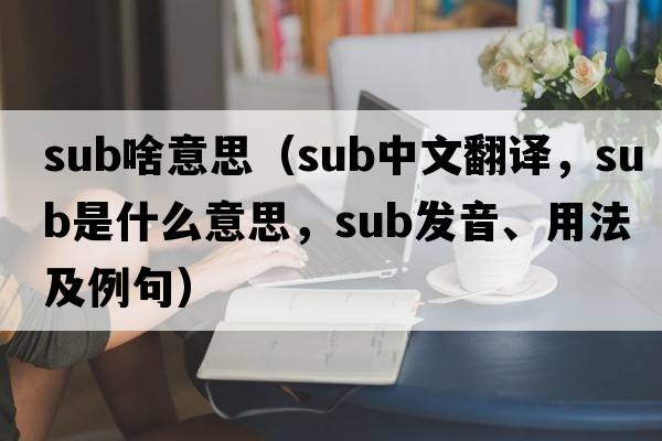sub啥意思（sub中文翻譯，sub是什么意思，sub發(fā)音、用法及例句）