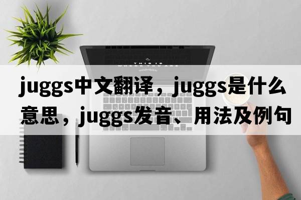 juggs中文翻譯，juggs是什么意思，juggs發(fā)音、用法及例句