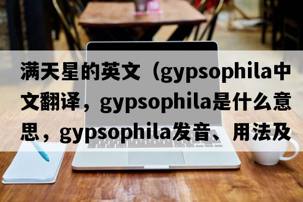 滿(mǎn)天星的英文（gypsophila中文翻譯，gypsophila是什么意思，gypsophila發(fā)音、用法及例句）