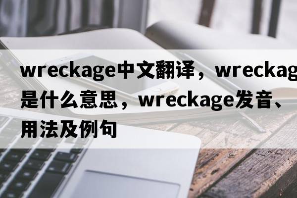 wreckage中文翻譯，wreckage是什么意思，wreckage發(fā)音、用法及例句
