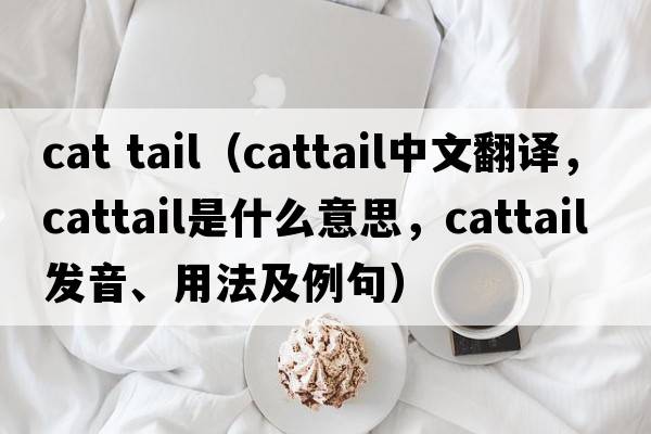 cat tail（cattail中文翻譯，cattail是什么意思，cattail發(fā)音、用法及例句）