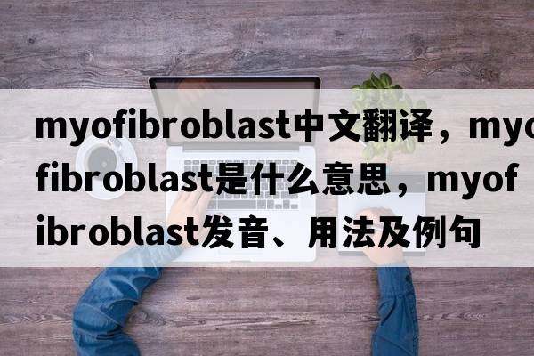 myofibroblast中文翻譯，myofibroblast是什么意思，myofibroblast發(fā)音、用法及例句