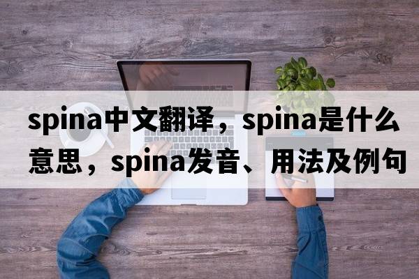 spina中文翻譯，spina是什么意思，spina發(fā)音、用法及例句