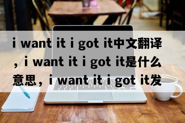 i want it i got it中文翻譯，i want it i got it是什么意思，i want it i got it發(fā)音、用法及例句