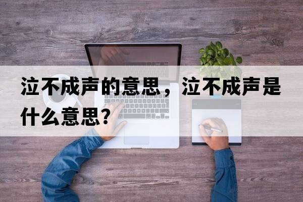泣不成聲的意思，泣不成聲是什么意思？