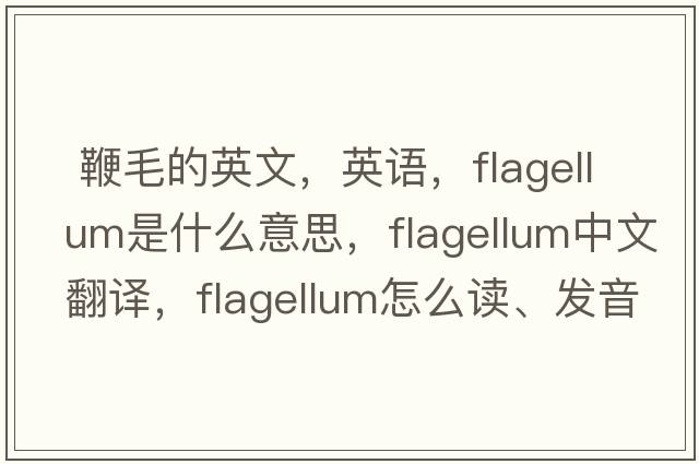  鞭毛的英文，英語(yǔ)，flagellum是什么意思，flagellum中文翻譯，flagellum怎么讀、發(fā)音、用法及例句