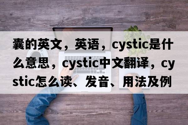 囊的英文，英語(yǔ)，cystic是什么意思，cystic中文翻譯，cystic怎么讀、發(fā)音、用法及例句