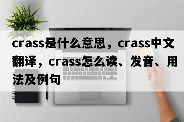 crass是什么意思，crass中文翻譯，crass怎么讀、發(fā)音、用法及例句