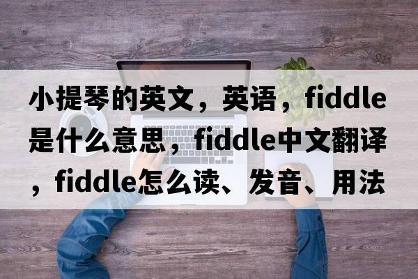 小提琴的英文，英語(yǔ)，fiddle是什么意思，fiddle中文翻譯，fiddle怎么讀、發(fā)音、用法及例句