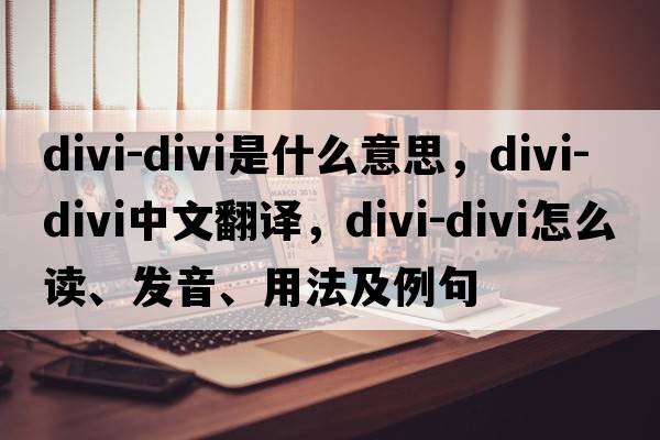 divi-divi是什么意思，divi-divi中文翻譯，divi-divi怎么讀、發(fā)音、用法及例句