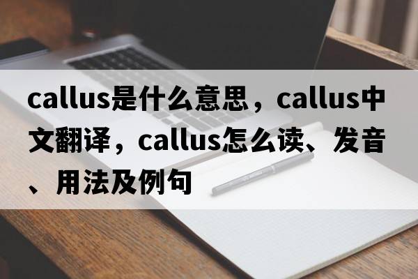 callus是什么意思，callus中文翻譯，callus怎么讀、發(fā)音、用法及例句