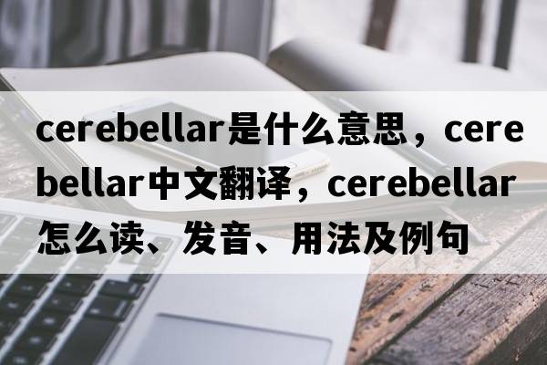 cerebellar是什么意思，cerebellar中文翻譯，cerebellar怎么讀、發(fā)音、用法及例句