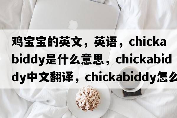雞寶寶的英文，英語(yǔ)，chickabiddy是什么意思，chickabiddy中文翻譯，chickabiddy怎么讀、發(fā)音、用法及例句