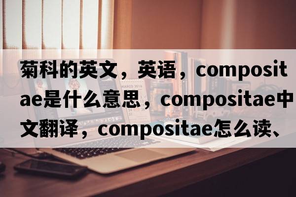 菊科的英文，英語(yǔ)，Compositae是什么意思，Compositae中文翻譯，Compositae怎么讀、發(fā)音、用法及例句