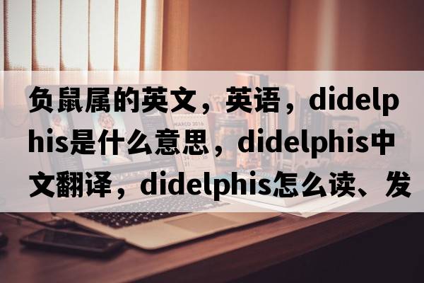 負鼠屬的英文，英語(yǔ)，Didelphis是什么意思，Didelphis中文翻譯，Didelphis怎么讀、發(fā)音、用法及例句