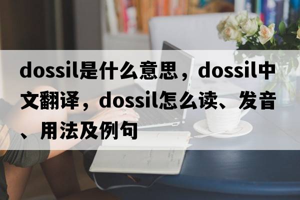 dossil是什么意思，dossil中文翻譯，dossil怎么讀、發(fā)音、用法及例句