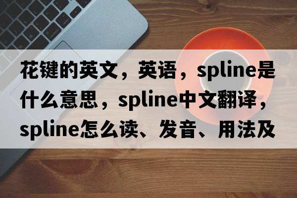 花鍵的英文，英語(yǔ)，spline是什么意思，spline中文翻譯，spline怎么讀、發(fā)音、用法及例句