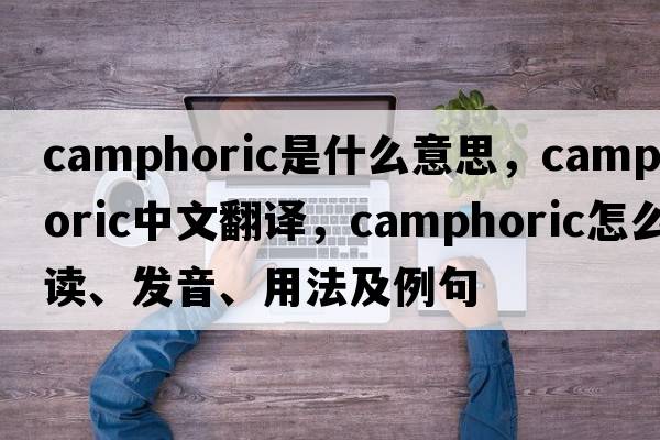 camphoric是什么意思，camphoric中文翻譯，camphoric怎么讀、發(fā)音、用法及例句