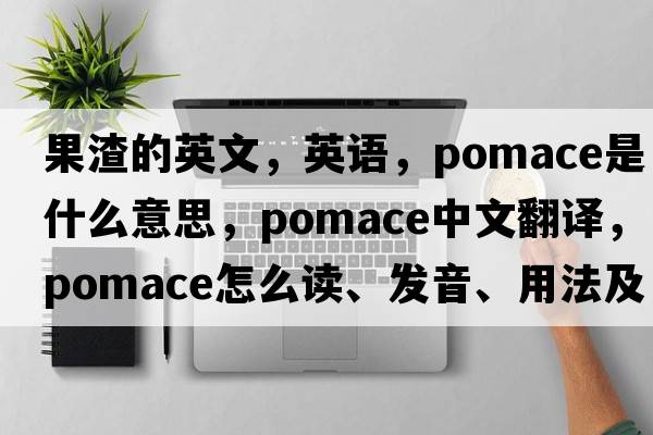 果渣的英文，英語(yǔ)，pomace是什么意思，pomace中文翻譯，pomace怎么讀、發(fā)音、用法及例句