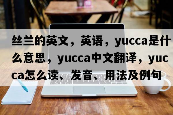 絲蘭的英文，英語(yǔ)，yucca是什么意思，yucca中文翻譯，yucca怎么讀、發(fā)音、用法及例句