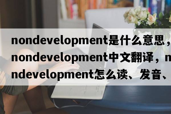 nondevelopment是什么意思，nondevelopment中文翻譯，nondevelopment怎么讀、發(fā)音、用法及例句