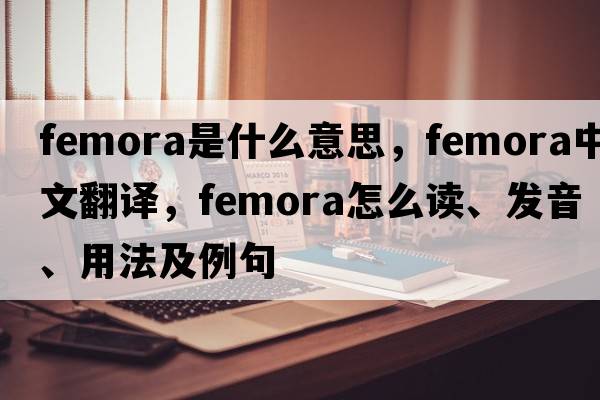 femora是什么意思，femora中文翻譯，femora怎么讀、發(fā)音、用法及例句