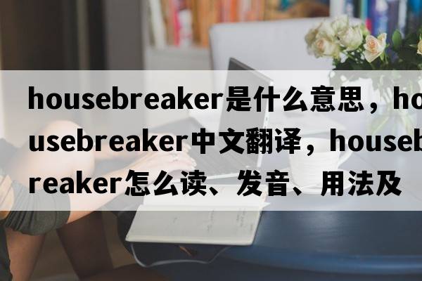 housebreaker是什么意思，housebreaker中文翻譯，housebreaker怎么讀、發(fā)音、用法及例句