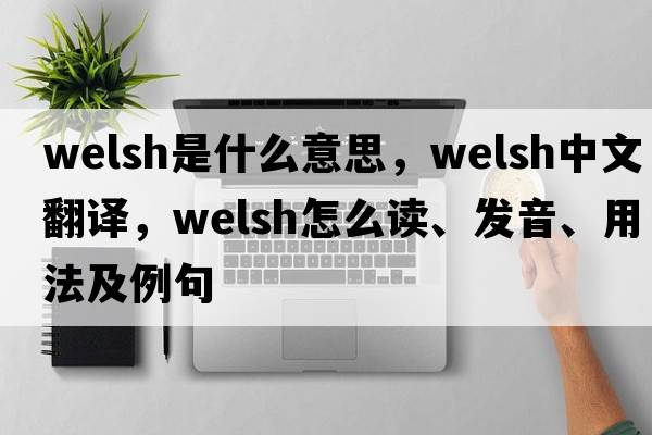 welsh是什么意思，welsh中文翻譯，welsh怎么讀、發(fā)音、用法及例句