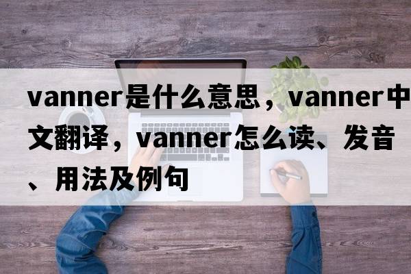 vanner是什么意思，vanner中文翻譯，vanner怎么讀、發(fā)音、用法及例句