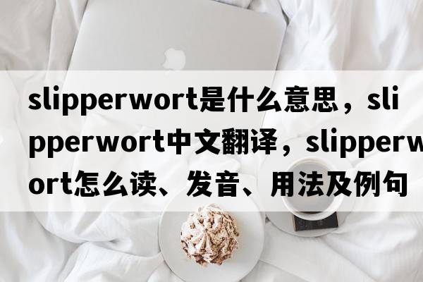 slipperwort是什么意思，slipperwort中文翻譯，slipperwort怎么讀、發(fā)音、用法及例句