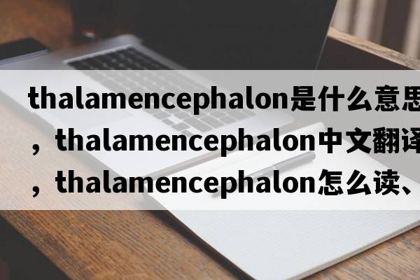 thalamencephalon是什么意思，thalamencephalon中文翻譯，thalamencephalon怎么讀、發(fā)音、用法及例句