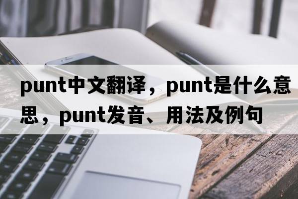 punt中文翻譯，punt是什么意思，punt發(fā)音、用法及例句
