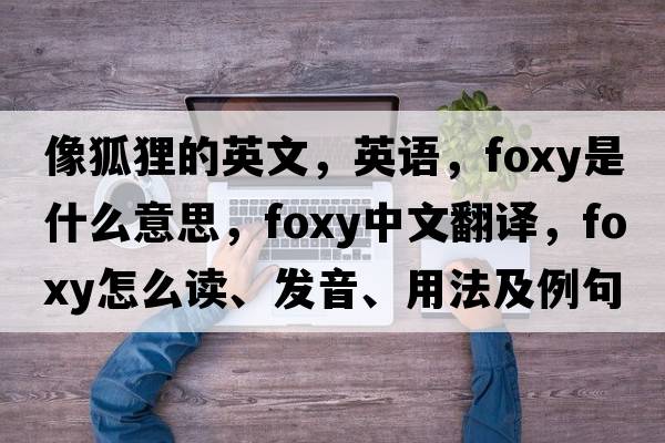 像狐貍的英文，英語(yǔ)，foxy是什么意思，foxy中文翻譯，foxy怎么讀、發(fā)音、用法及例句