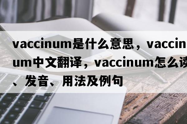 vaccinum是什么意思，vaccinum中文翻譯，vaccinum怎么讀、發(fā)音、用法及例句