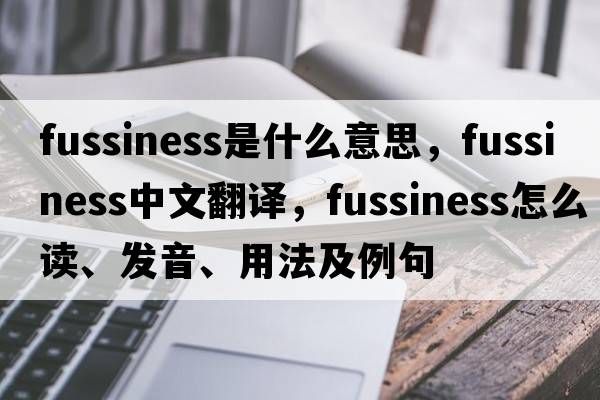 Fussiness是什么意思，Fussiness中文翻譯，Fussiness怎么讀、發(fā)音、用法及例句