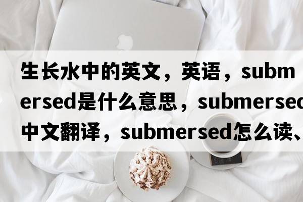 生長(cháng)水中的英文，英語(yǔ)，submersed是什么意思，submersed中文翻譯，submersed怎么讀、發(fā)音、用法及例句