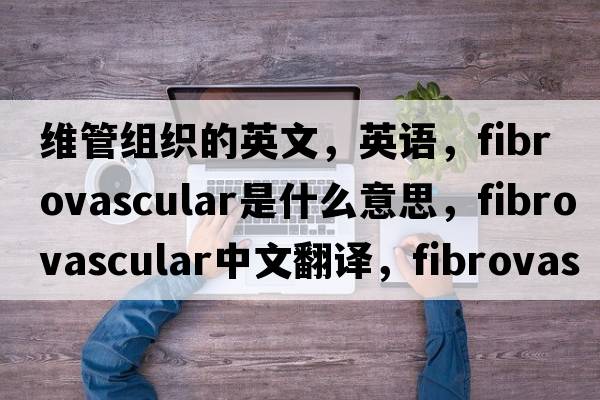 維管組織的英文，英語(yǔ)，fibrovascular是什么意思，fibrovascular中文翻譯，fibrovascular怎么讀、發(fā)音、用法及例句