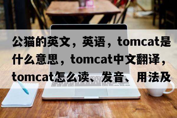 公貓的英文，英語(yǔ)，tomcat是什么意思，tomcat中文翻譯，tomcat怎么讀、發(fā)音、用法及例句