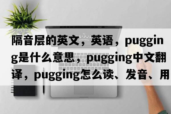 隔音層的英文，英語(yǔ)，pugging是什么意思，pugging中文翻譯，pugging怎么讀、發(fā)音、用法及例句