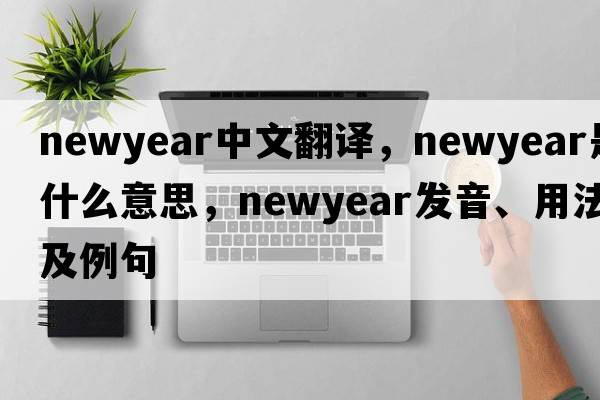 newyear中文翻譯，newyear是什么意思，newyear發(fā)音、用法及例句