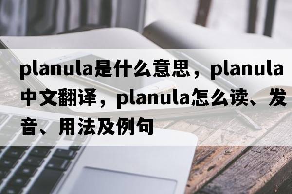 planula是什么意思，planula中文翻譯，planula怎么讀、發(fā)音、用法及例句