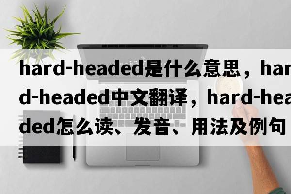 hard-headed是什么意思，hard-headed中文翻譯，hard-headed怎么讀、發(fā)音、用法及例句
