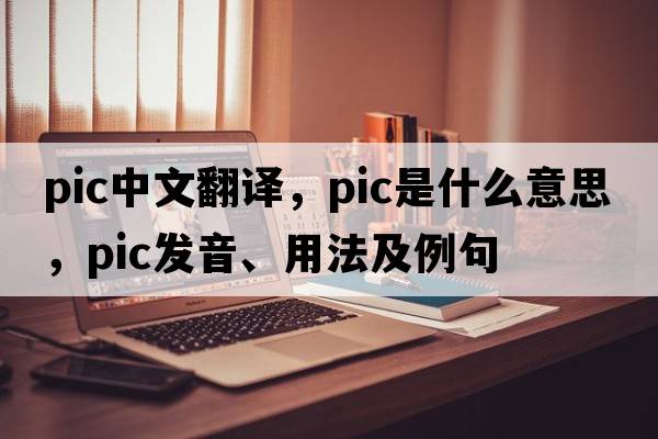 pic中文翻譯，pic是什么意思，pic發(fā)音、用法及例句