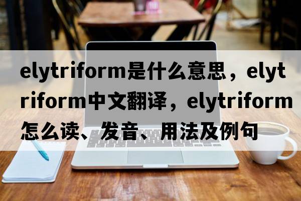 elytriform是什么意思，elytriform中文翻譯，elytriform怎么讀、發(fā)音、用法及例句