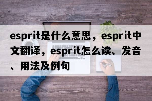 esprit是什么意思，esprit中文翻譯，esprit怎么讀、發(fā)音、用法及例句