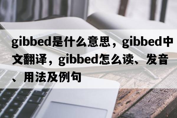 gibbed是什么意思，gibbed中文翻譯，gibbed怎么讀、發(fā)音、用法及例句