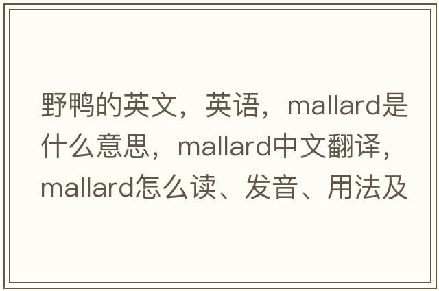 野鴨的英文，英語(yǔ)，mallard是什么意思，mallard中文翻譯，mallard怎么讀、發(fā)音、用法及例句