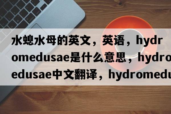 水螅水母的英文，英語(yǔ)，hydromedusae是什么意思，hydromedusae中文翻譯，hydromedusae怎么讀、發(fā)音、用法及例句