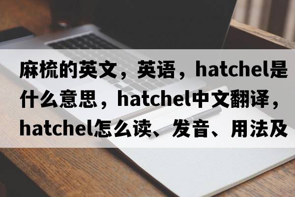 麻梳的英文，英語(yǔ)，hatchel是什么意思，hatchel中文翻譯，hatchel怎么讀、發(fā)音、用法及例句